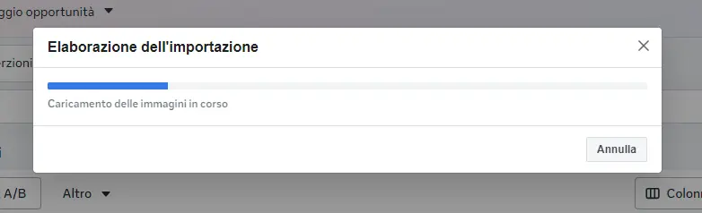 Finestra «Elaborazione dell'importazione» con il caricamento delle immagini in corso