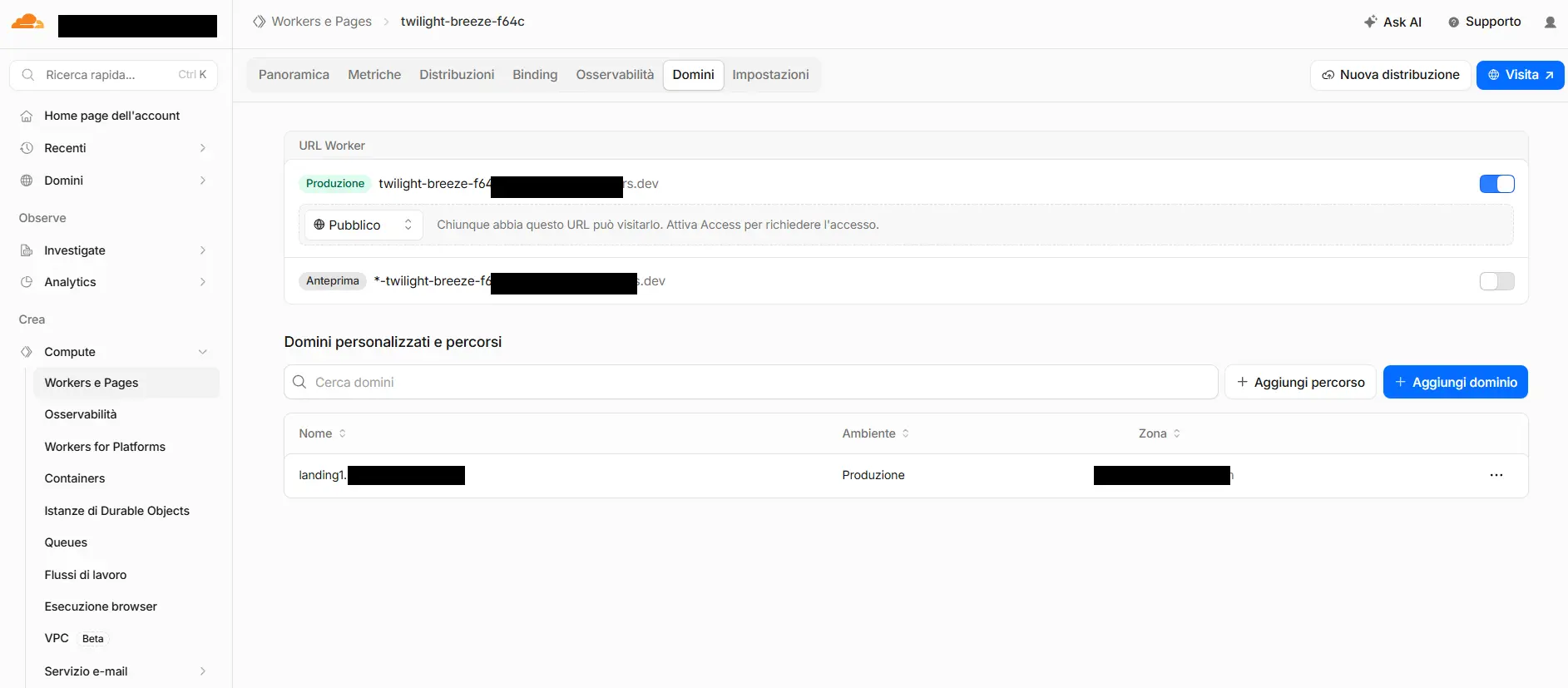The connected domain appears in the Worker's list, ready and in production