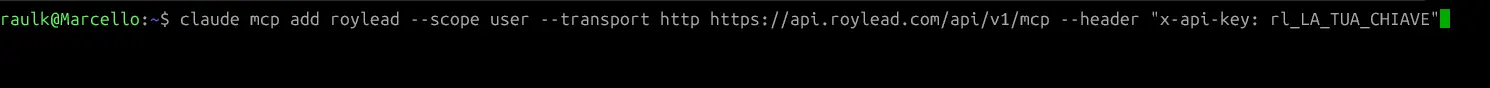 The full command in the terminal, with the placeholder key to replace with yours