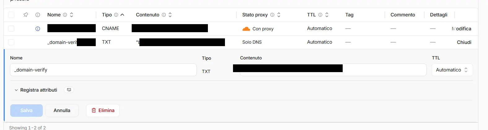 DNS panel with the TXT verification record